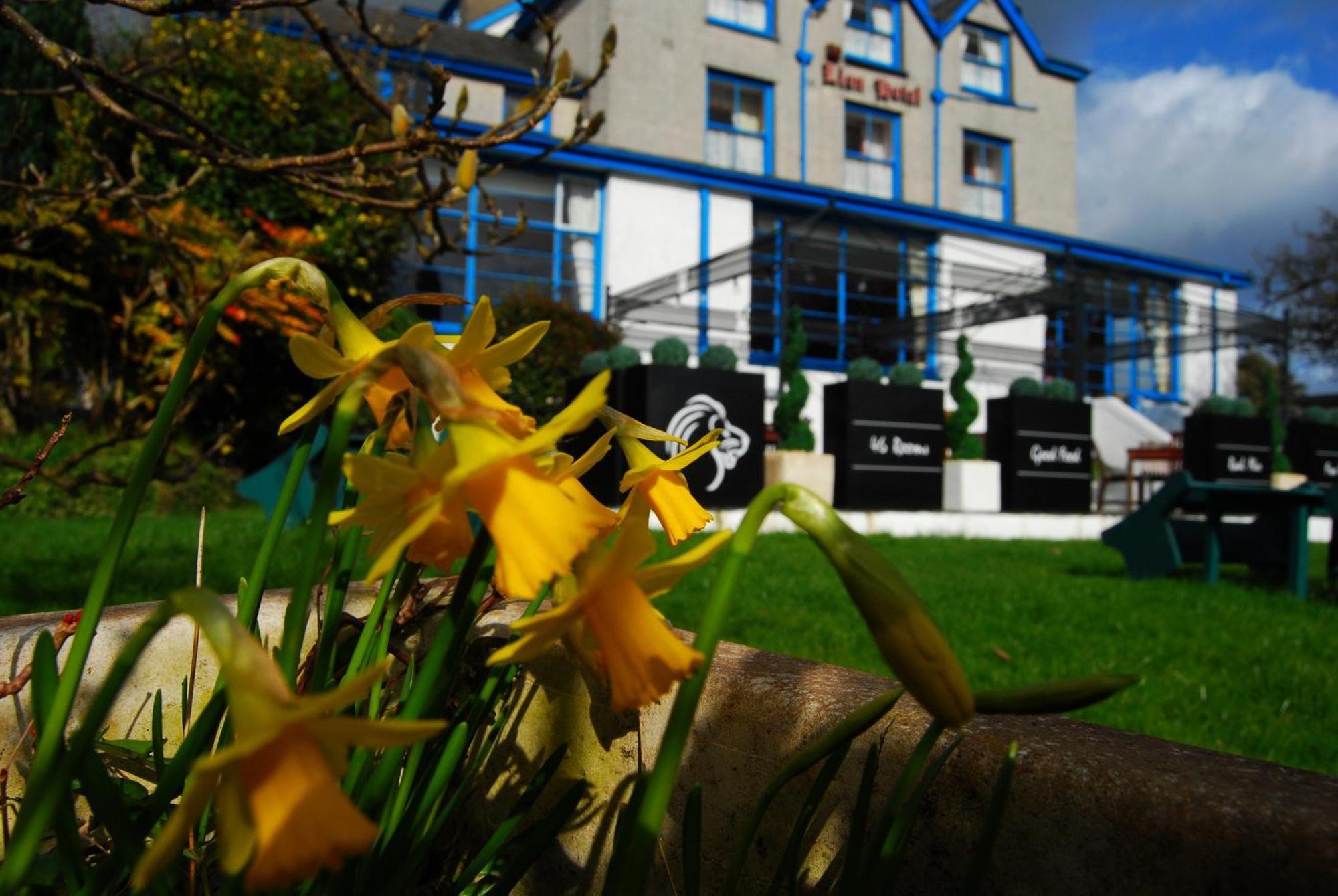 Lion Hotel & Studio Apartments Крикийт Екстериор снимка